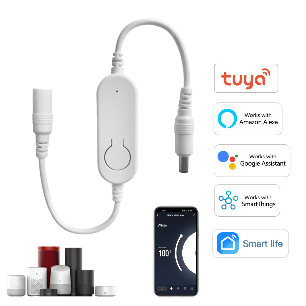 DC12V-24V Tuya Wifi Controller - Alexa Compatible Bulb recensione e prezzo