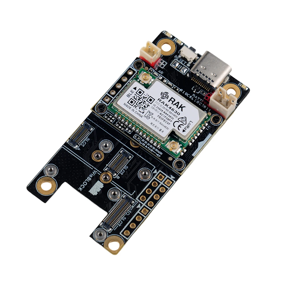 RAK4631 LoRa WisBlock Basic St - Smart Home Kit For Arduino recensione e prezzo