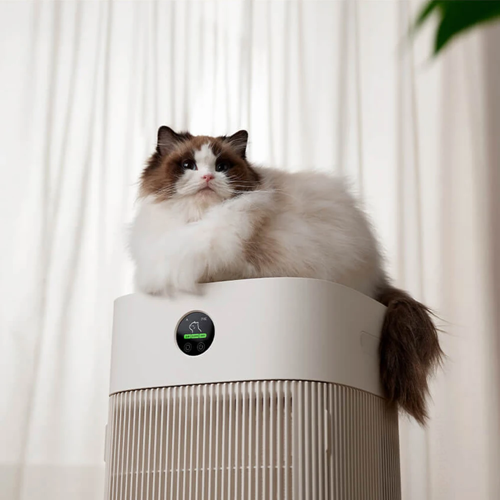 I peli dei gatti assorbono rap - Smart Air Purifier recensione e prezzo