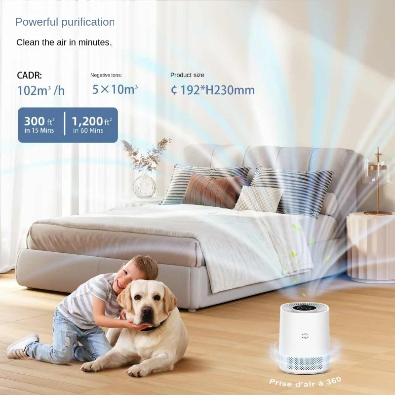Purificatore d'Aria Smart per  - Smart Air Purifier recensione e prezzo