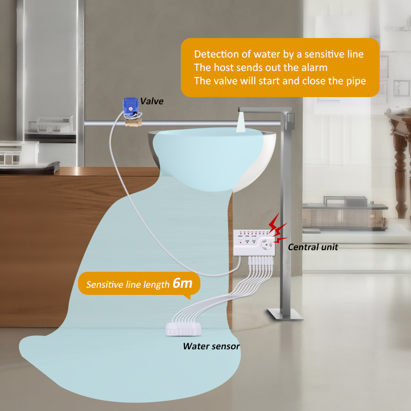 Sensore di Perdite d'Acqua, Pr - Smart Home Water Level Sensor recensione e prezzo